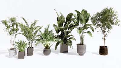 植物盆栽3D模型下载